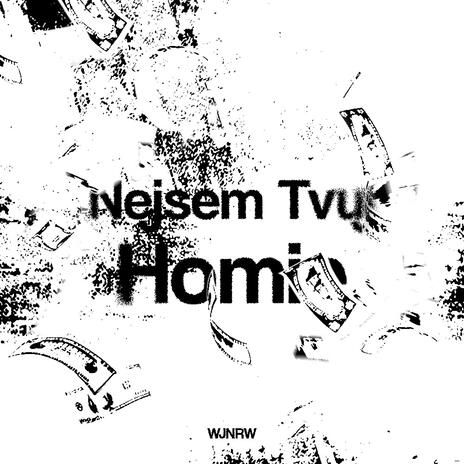 Nejsem Tvuj Homie | Boomplay Music