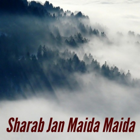 Sharab Jan Maida Maida ft. Rahil Jan