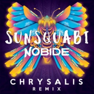 Chrysalis (Nobide Remix)