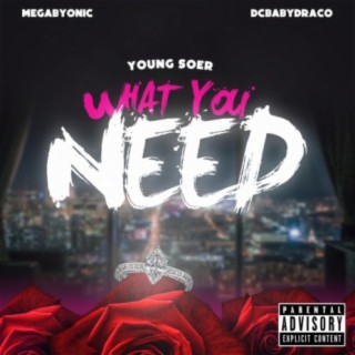 What You Need (feat. Megabyonic & Dc Babydraco)