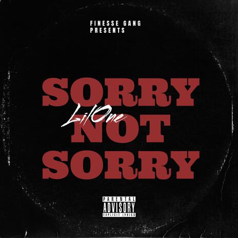 SORRY NOT SORRY | Boomplay Music