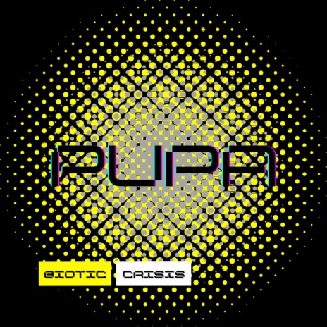 PUPA | Boomplay Music