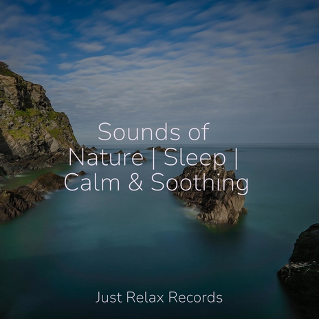 Lullaby of Heavenly Slumber ft. Soothing Sounds & Massage Therapy Music | Boomplay Music