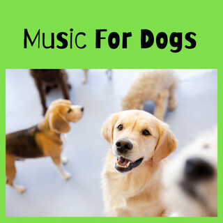 Music For Dogs