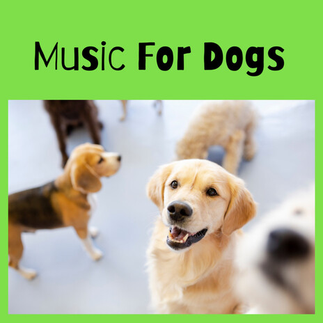 Complete Zen Music ft. Music For Dogs Peace, Relaxing Puppy Music & Calm Pets Music Academy | Boomplay Music