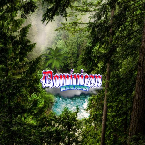 Immersive Symphony: Rainforest Tracks