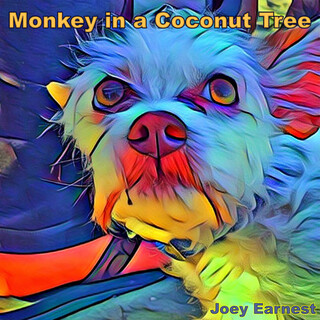 Monkey in a Coconut Tree