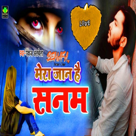 Mera Jan Hai Sanam | Boomplay Music