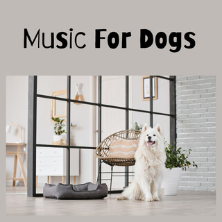 Music For Dogs