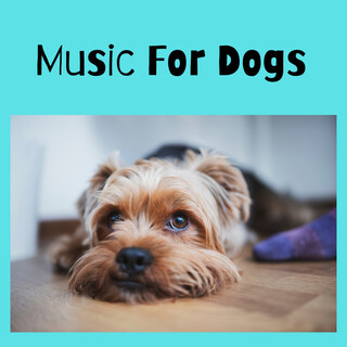 Music For Dogs