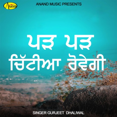 Doli Vich Fer Baith Ji | Boomplay Music