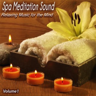 Spa Meditation Sound, Vol. 1 - Relaxing Music for the Mind