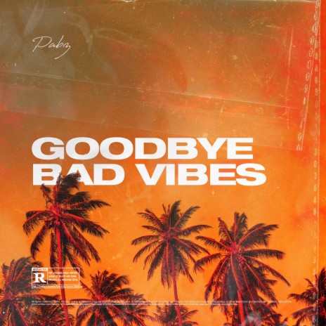 Goodbye Bad Vibes | Boomplay Music
