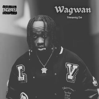 Wagwan Freestyle lyrics | Boomplay Music