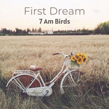 7.14 Am Birds | Boomplay Music