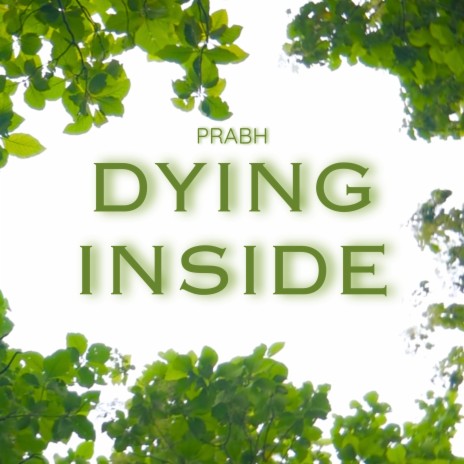 Dying Inside | Boomplay Music