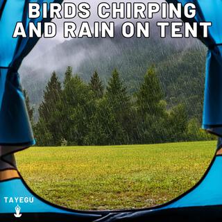 Birds Chirping and Rain on Tent Camping Forest 1 Hour Relaxing Nature Ambient Yoga Meditation Sounds For Sleeping Relaxation or Studying