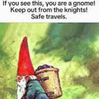 Crawly Gnome Wizard Meme Song But Its Lofi Hiphop