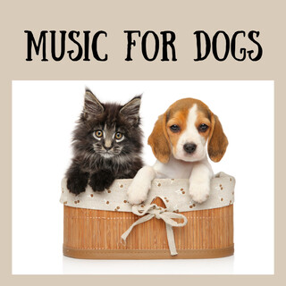 Music For Dogs