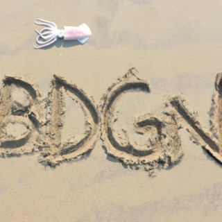 BDGN