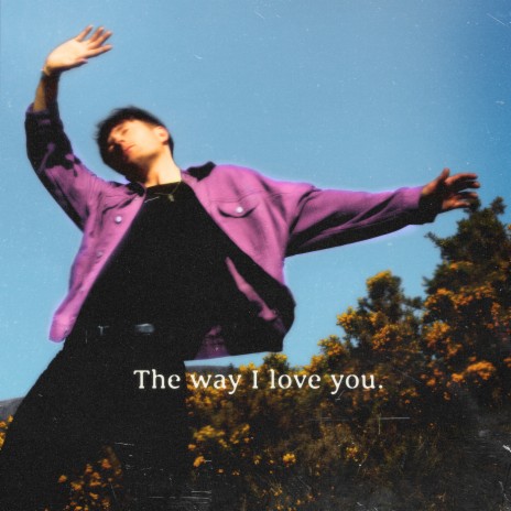 The Way I Love You | Boomplay Music