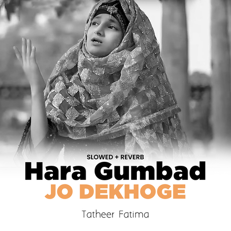 Hara Gumbad Jo Dekhoge (Lofi-Mix) | Boomplay Music