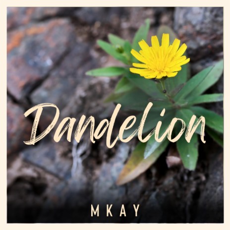 Dandelion (Instrumental) | Boomplay Music