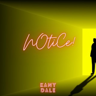 Notice (Radio Edit) lyrics | Boomplay Music
