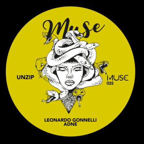 Unzip ft. Adne | Boomplay Music