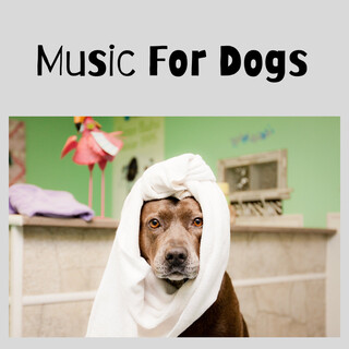 Music For Dogs