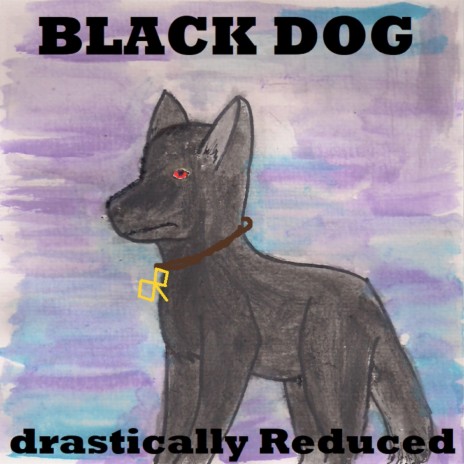 Black Dog