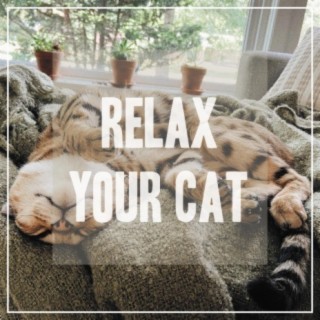 Relaxing Songs for Cats