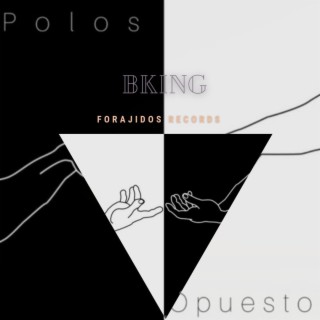 POLOS OPUESTOS