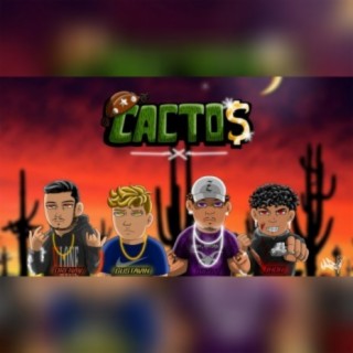 Cactos