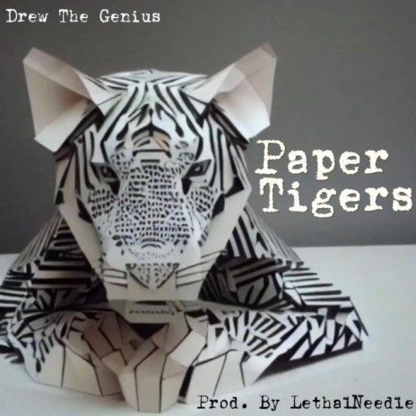 Paper Tigers | Boomplay Music