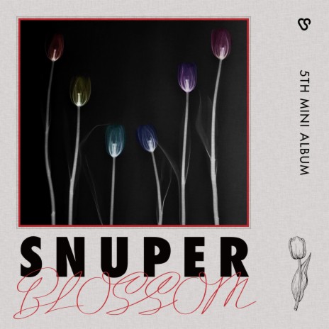 Tulips | Boomplay Music