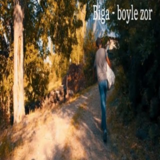 Boyle Zor