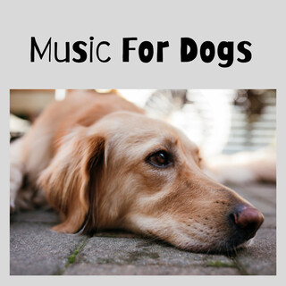 Music For Dogs