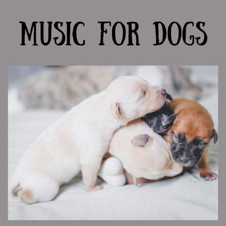 Music For Puppies ft. Music For Dogs, Relaxing Puppy Music & Calm Pets Music Academy