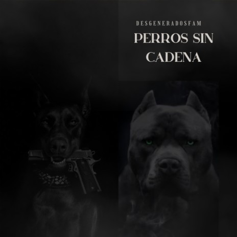 Perros Sin Cadena | Boomplay Music