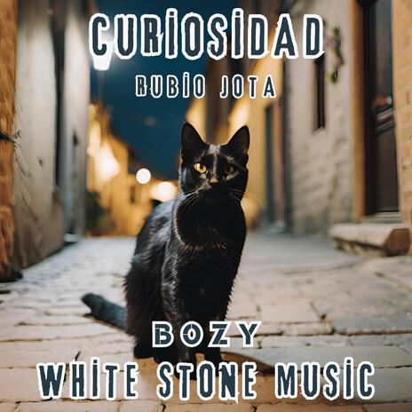 Curiosidad ft. Bozy White Stone | Boomplay Music