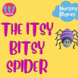 Itsy Bitsy Spider