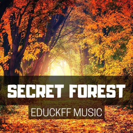 Secret Forest | Boomplay Music