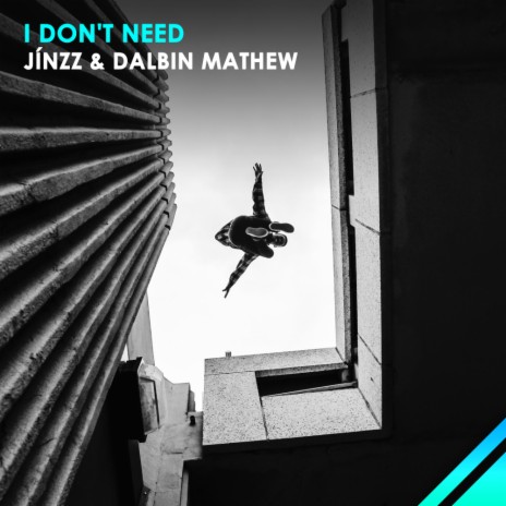 I Don't Need ft. Dalbin Mathew | Boomplay Music