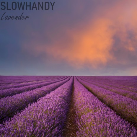 Lavender | Boomplay Music