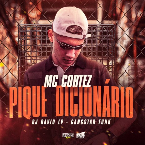 Pique Dicionário ft. Dj David LP & Gangstar Funk | Boomplay Music