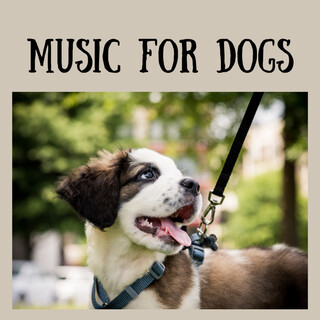 Music For Dogs