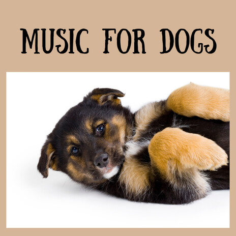 Doggie At Ease ft. Music For Dogs Peace, Relaxing Puppy Music & Calm Pets Music Academy | Boomplay Music