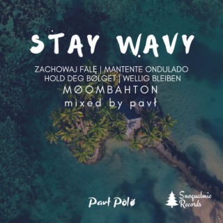 Stay Wavy (mixed by pavł)