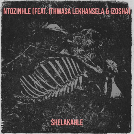 Uzinhle ft. Ithwasa lekhansela & Izosha